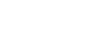 Palo